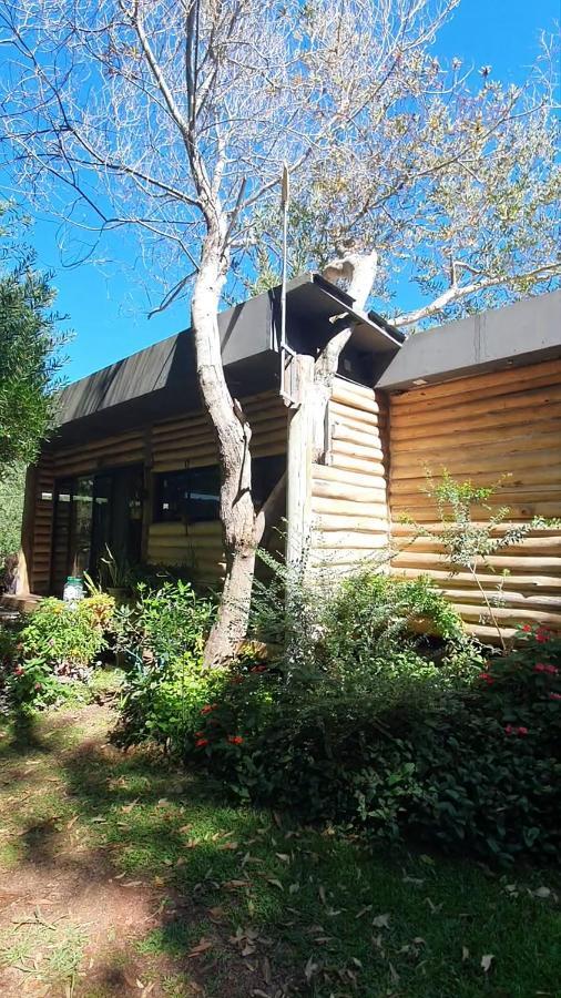 Chalet Los Troncos Sauce de Portezuelo Esterno foto