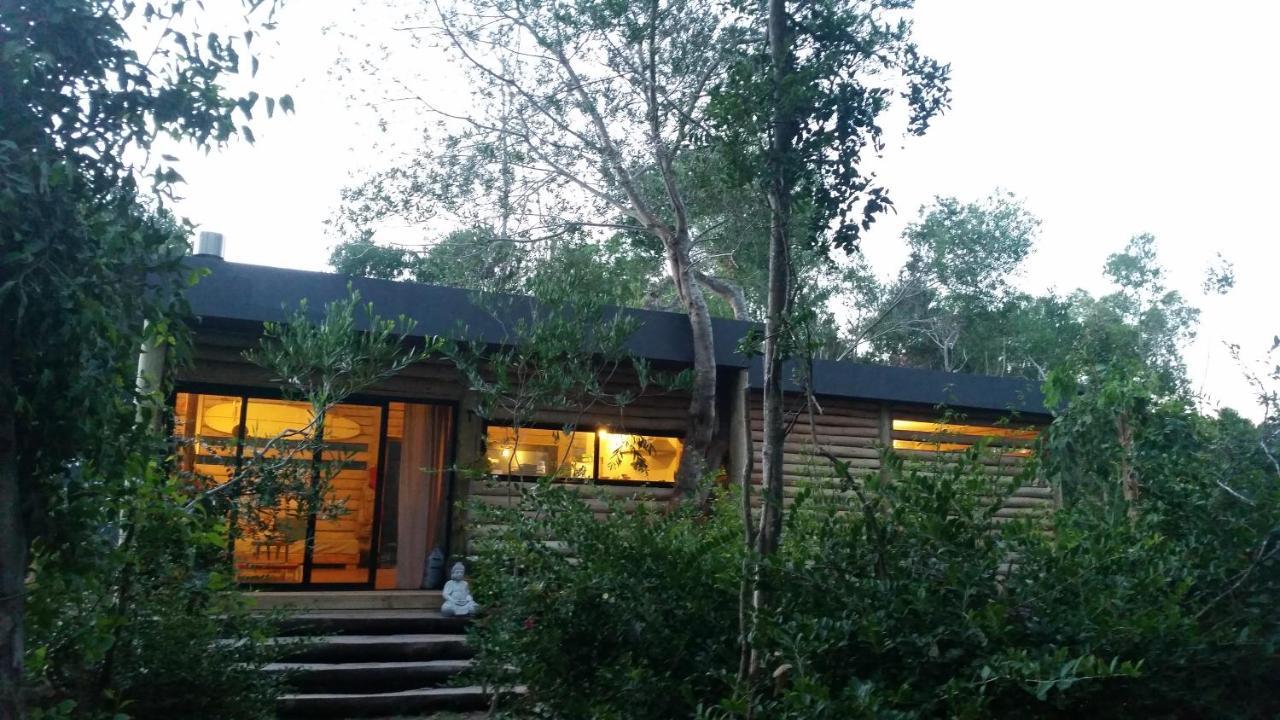 Chalet Los Troncos Sauce de Portezuelo Esterno foto